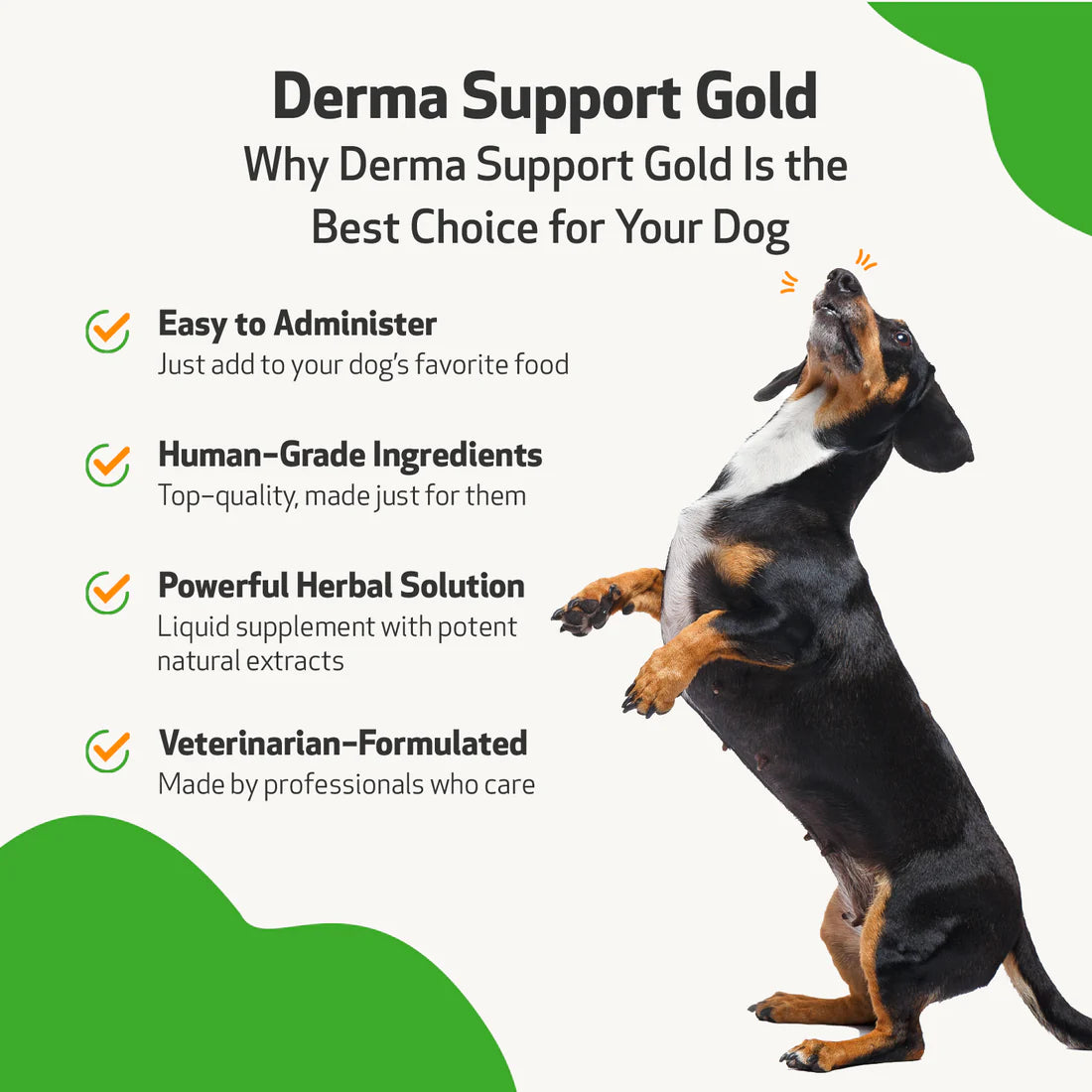 Pet Wellbeing - Derma Support Gold (Dogs) - 2oz