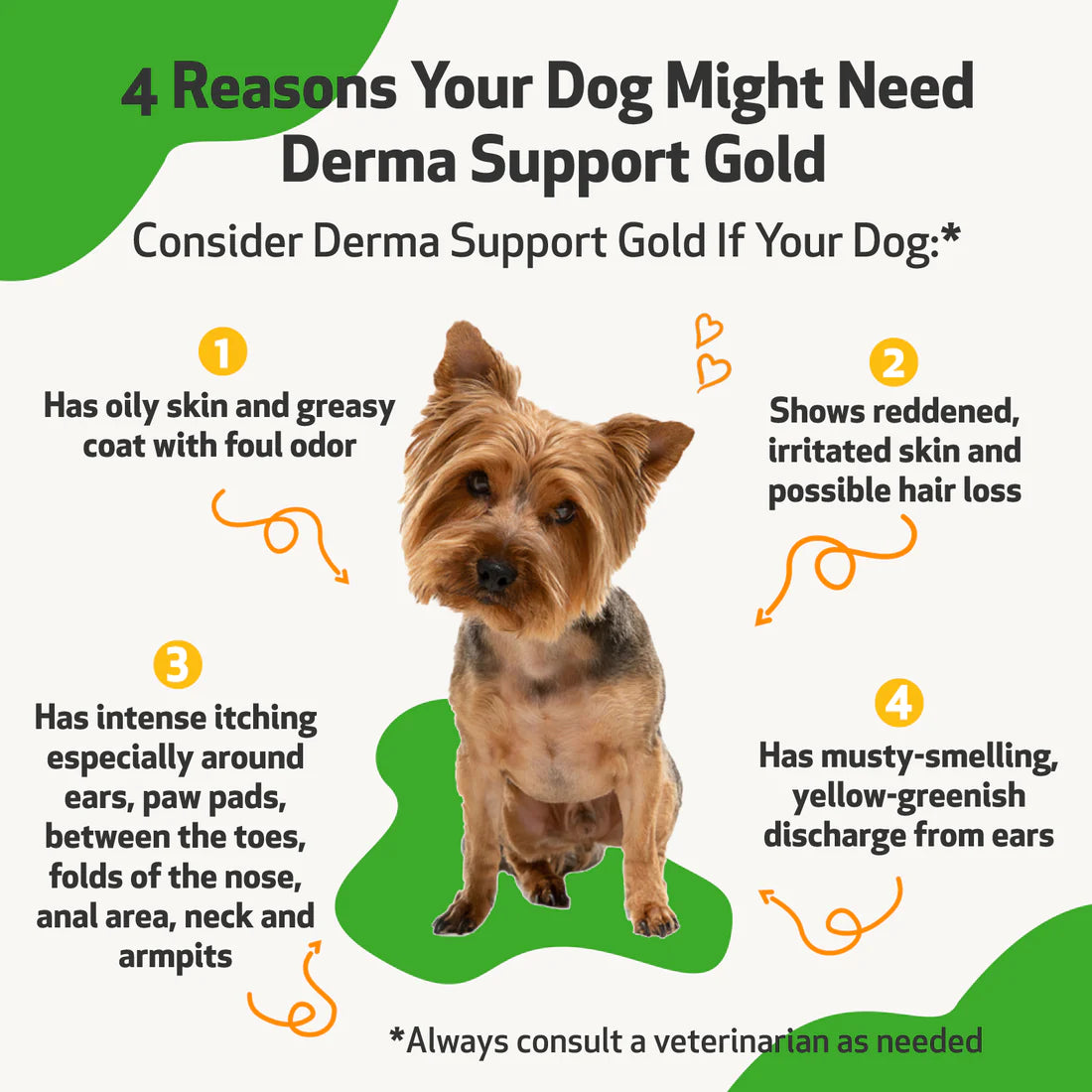 Pet Wellbeing - Derma Support Gold (Dogs) - 2oz