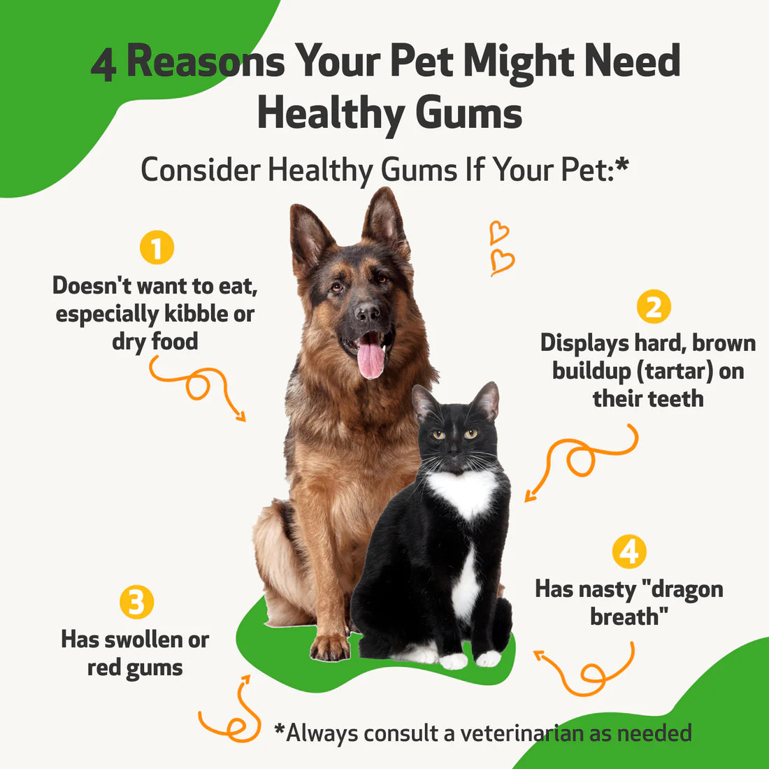 Pet Wellbeing - Healthy Gums (Dogs) - 2oz