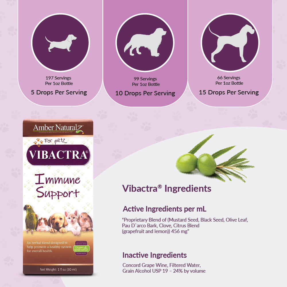 Amber Naturalz - Vibactra Plus 118ml