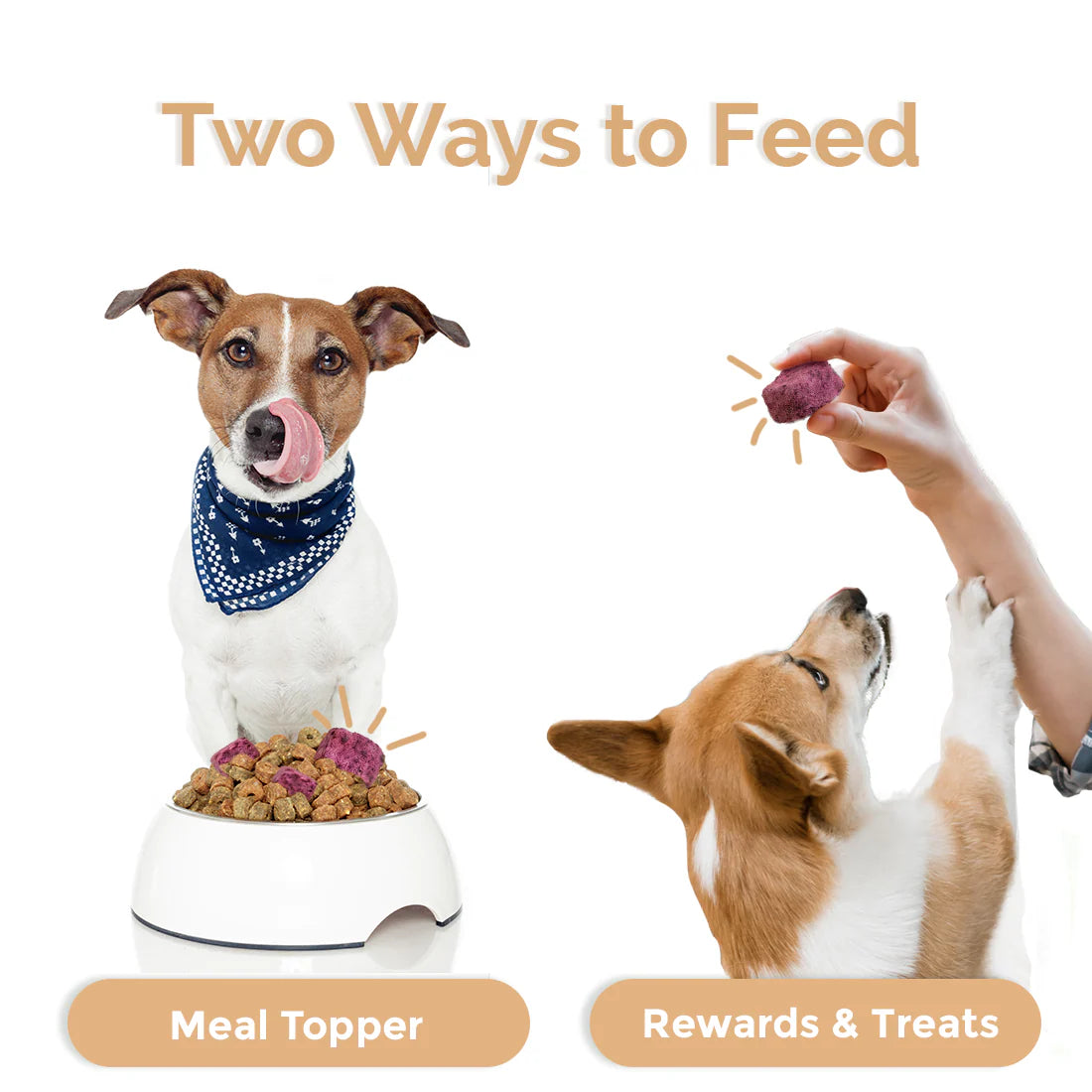 Loopy Paws - Crispy Goat Yogurt - Veggie & Apple