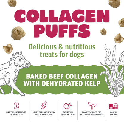 Icelandic+ Beef Collagen Puffs with Kelp Treats - 1.3oz