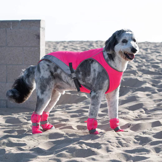 Canada Pooch - Cooling Boots Pink