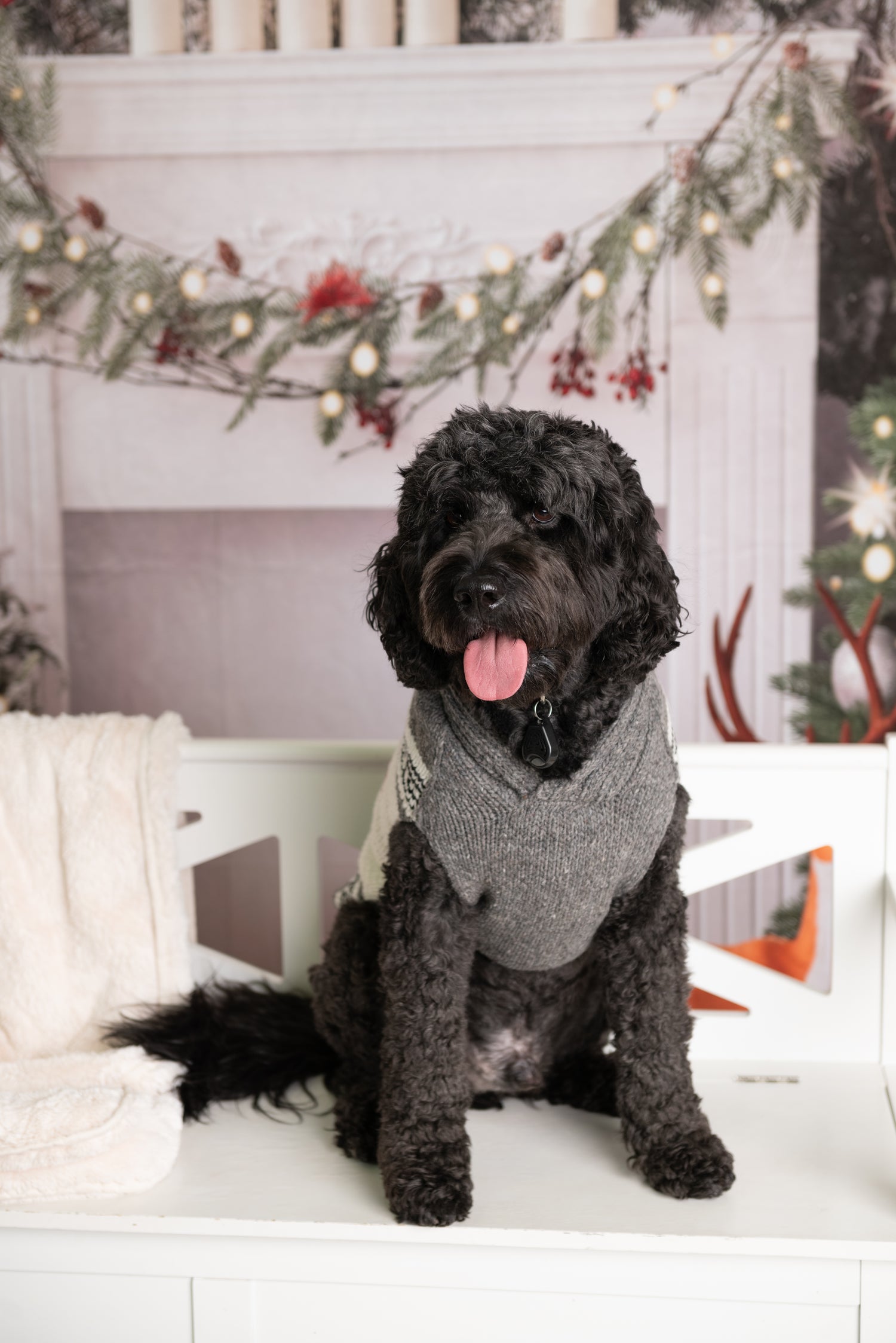 Professional Holiday Photoshoot