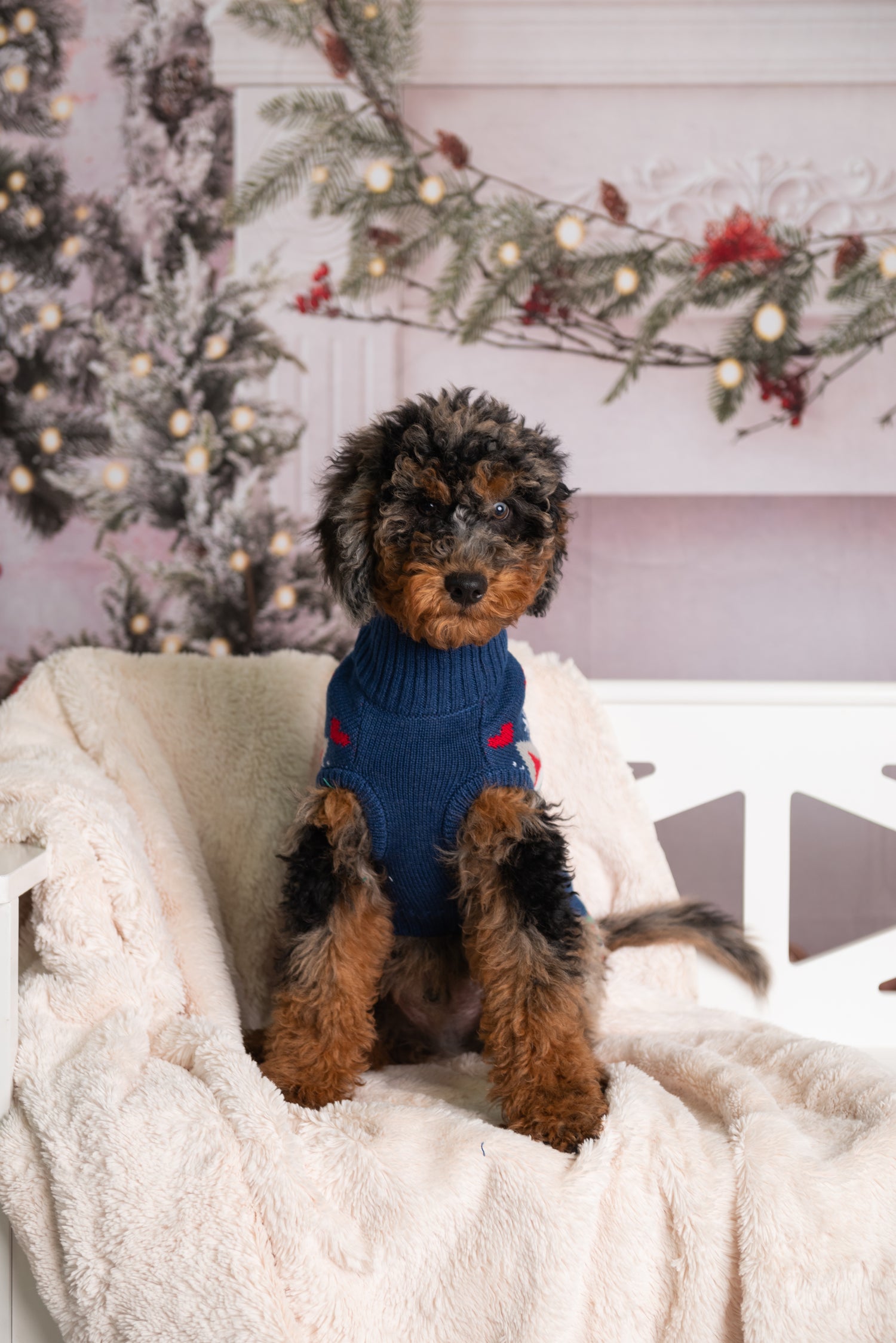 Professional Holiday Photoshoot