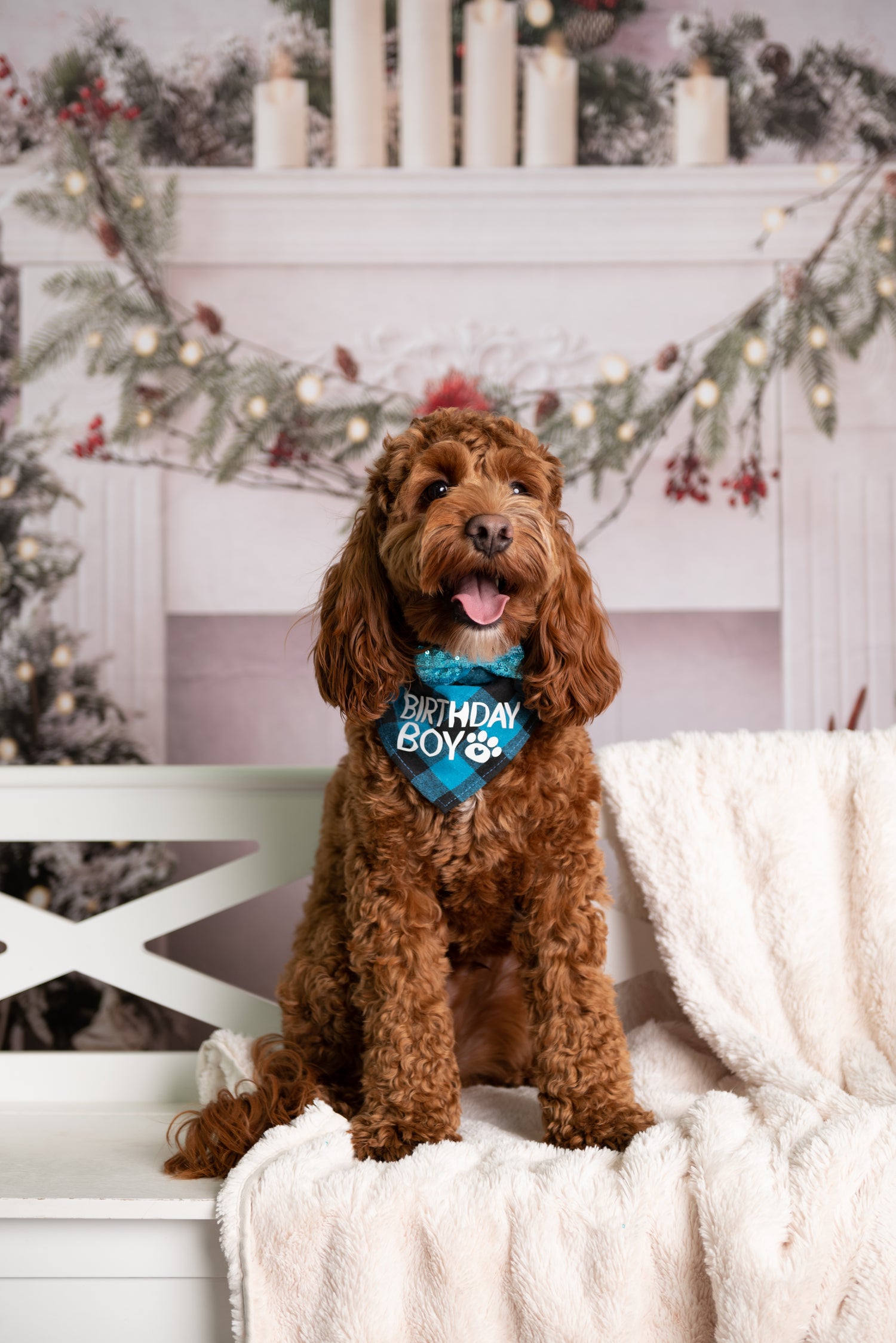 Professional Holiday Photoshoot