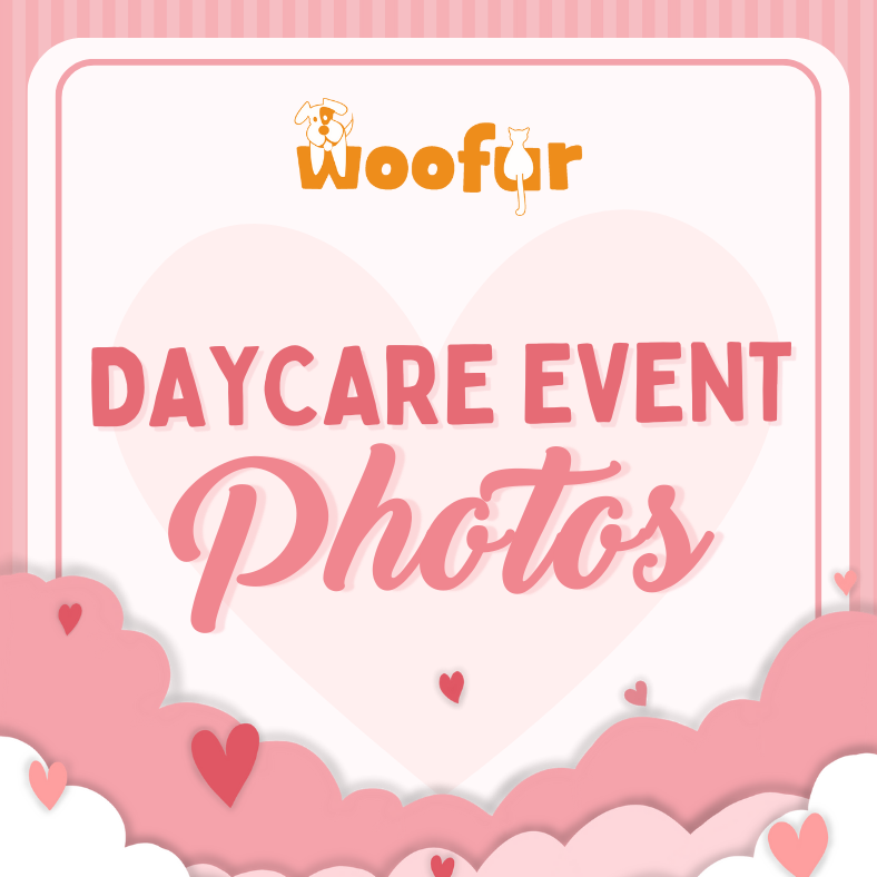 Woofur Daycare Event Photos - Woofur Natural Pet Products