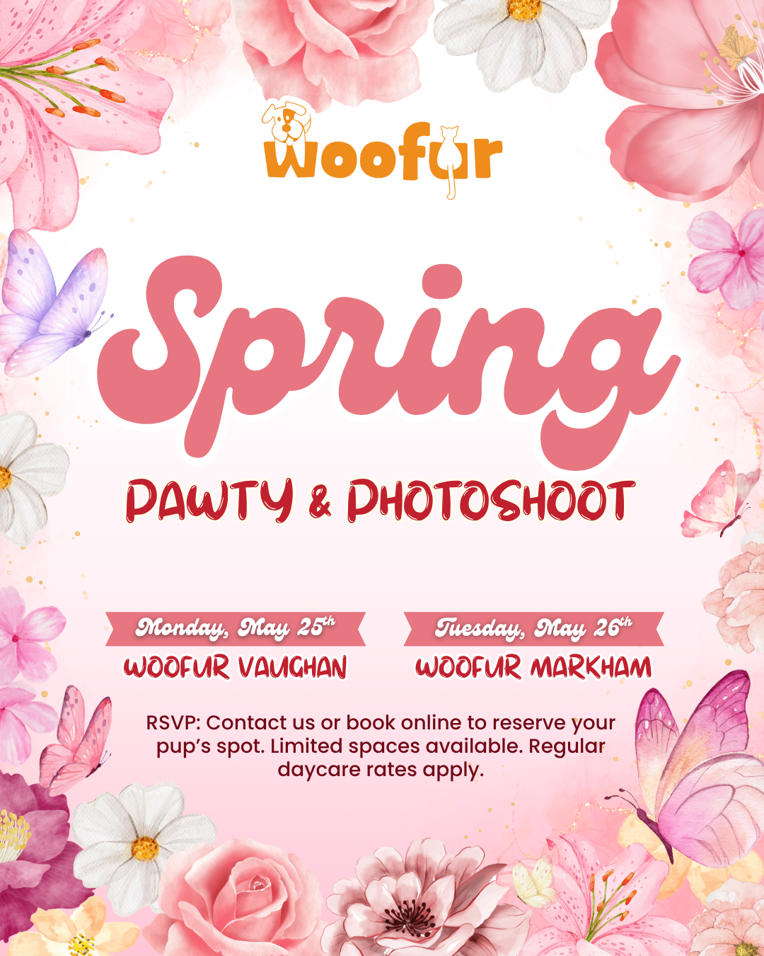 Woofur Daycare Event Photos