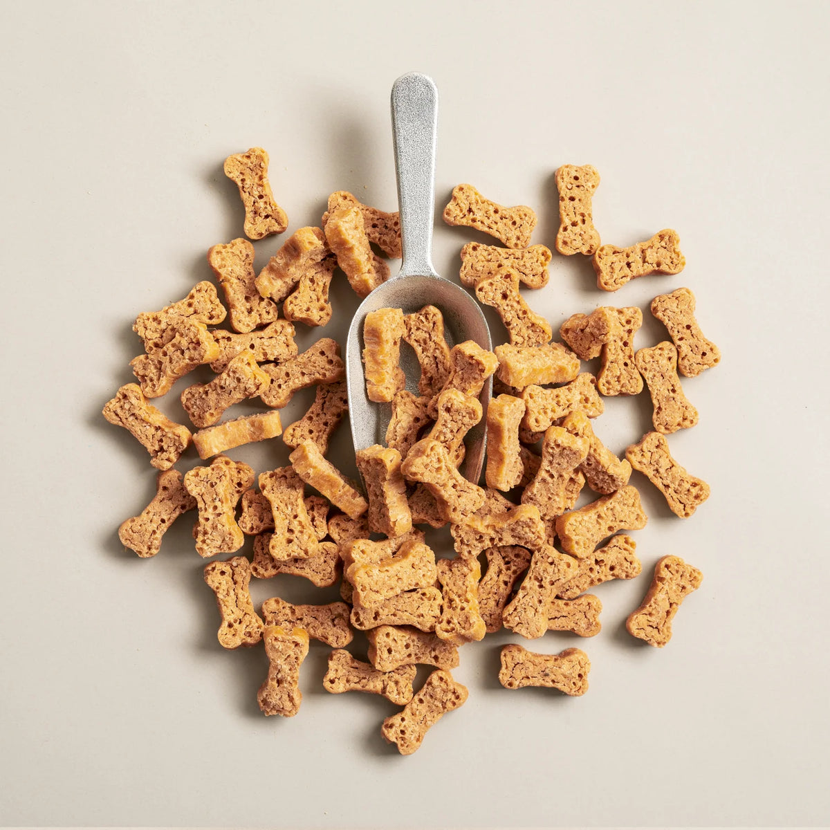 PolkaDog -  Salmon Says (Crunchy Bones)