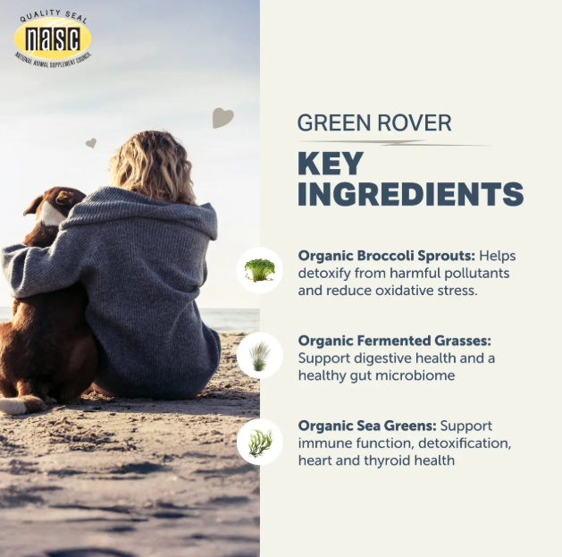 Four Leaf Rover - Green Rover - Woofur Natural Pet Products