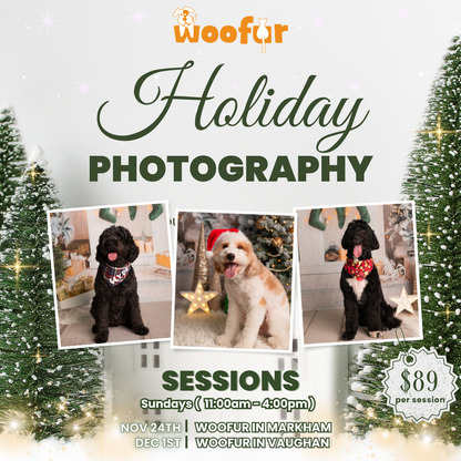 Professional Holiday Photoshoot