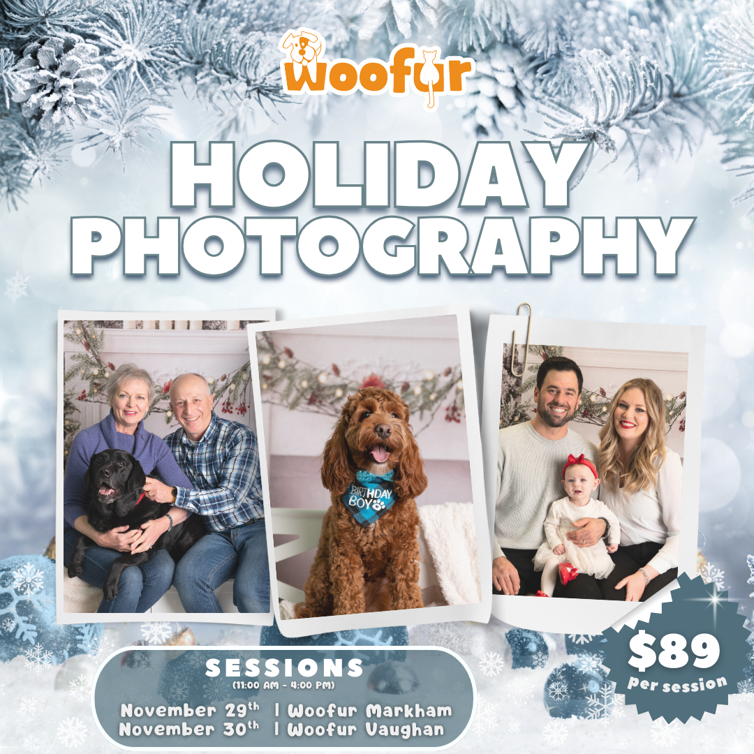 Professional Holiday Photoshoot