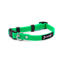 Load image into Gallery viewer, Smoochy Poochy - Polyvinyl Small Collar