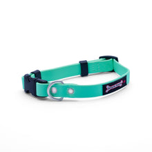 Load image into Gallery viewer, Smoochy Poochy - Polyvinyl Small Collar