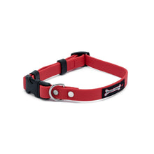Load image into Gallery viewer, Smoochy Poochy - Polyvinyl Small Collar