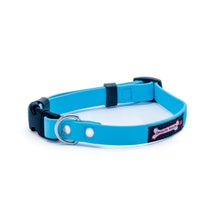 Load image into Gallery viewer, Smoochy Poochy - Polyvinyl Small Collar