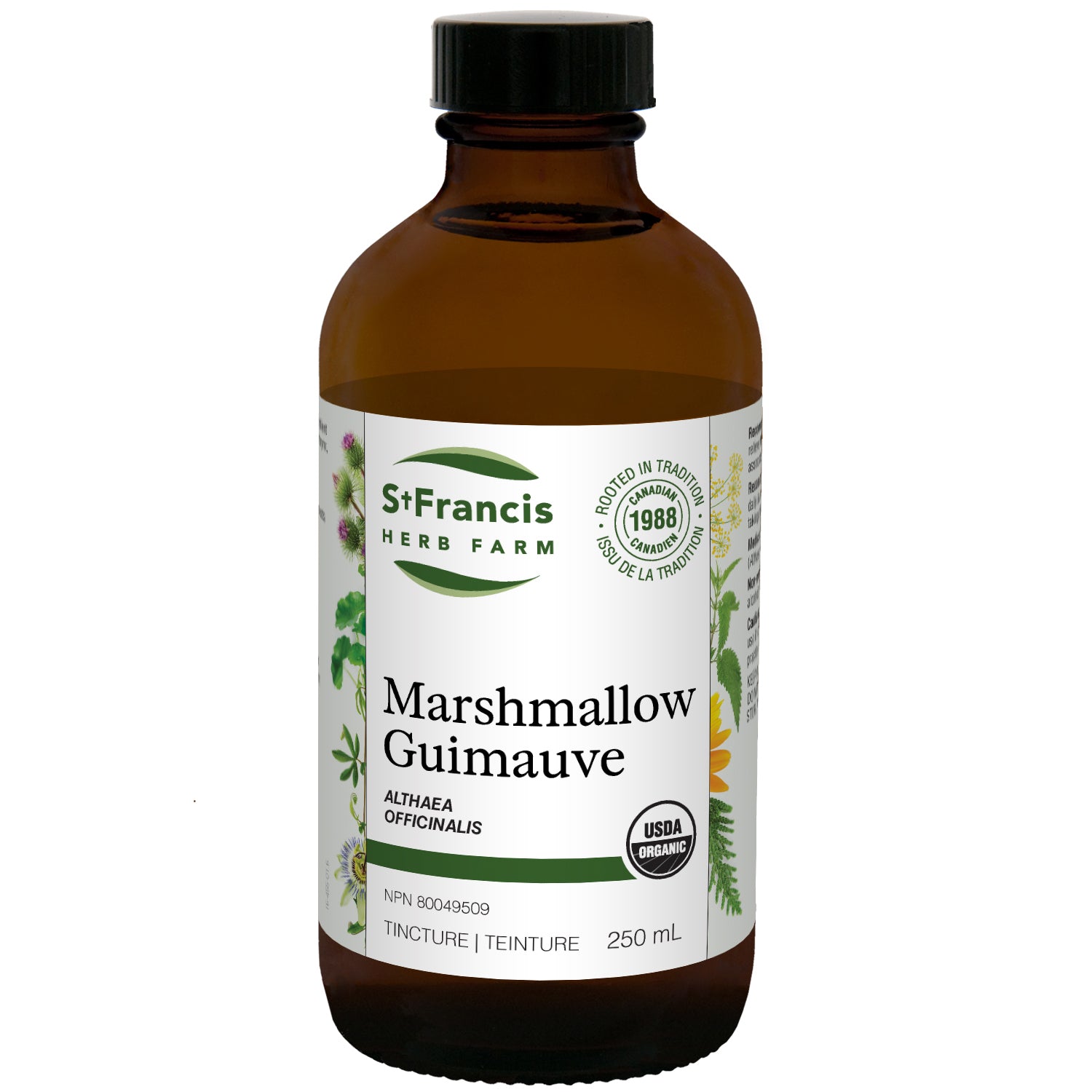 ST. FRANCIS -  MARSHMALLOW - Woofur Natural Pet Products