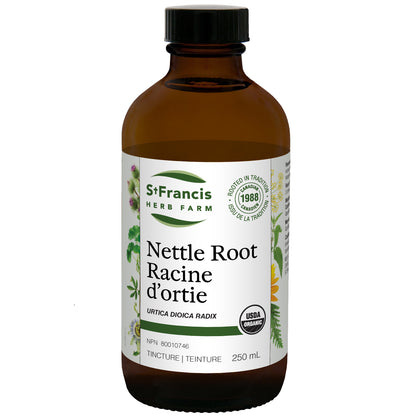 ST. FRANCIS - NETTLE ROOT