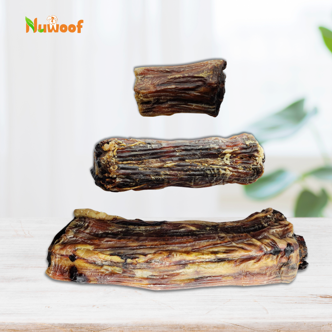 NuWoof - Dehydrated Kangaroo Tail Chews