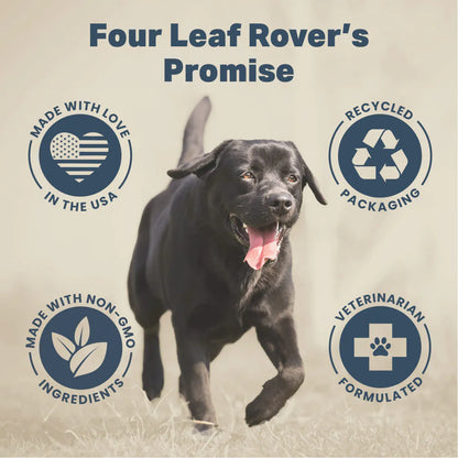 Four Leaf Rover - Hip and Joint