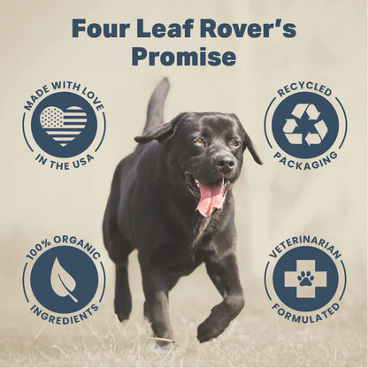 Four Leaf Rover - Protect - Soil-Based Probiotics - 115.5 g