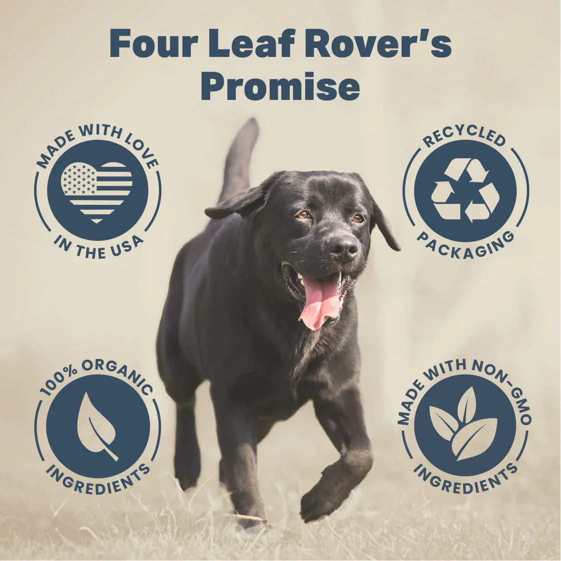 Four Leaf Rover - Red Rover - Organic Berries for Dogs - 76.5 g