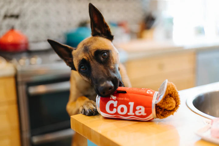 P.L.A.Y. - Snack Attack - Good Boy Cola