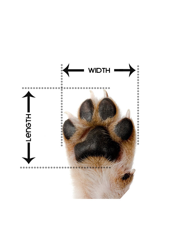 Pretty Paw - Max Graphite Rock