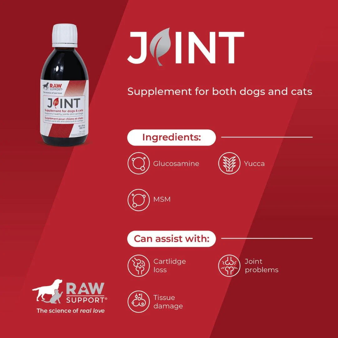 Raw Support - Joint 250 mL