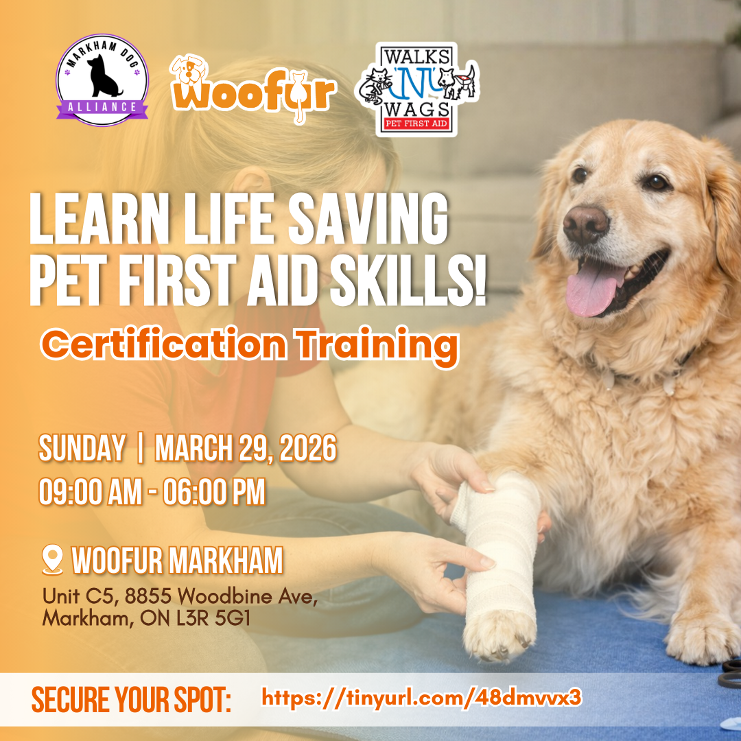 Pet First Aid Certification Training - Woofur Natural Pet Products