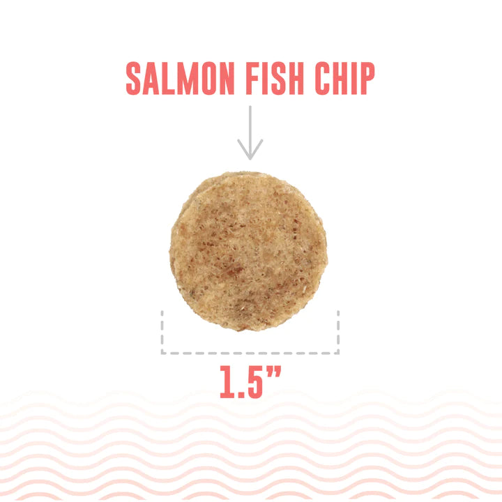Icelandic+ Treats - Salmon Fish Chips 2.5oz