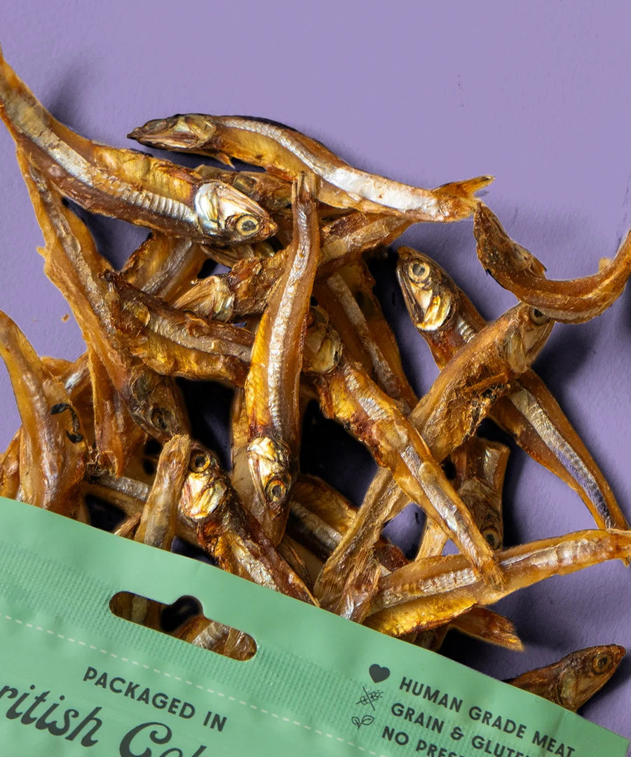 Wild Vibes - Sun Dried Sardines  & Bone Broth