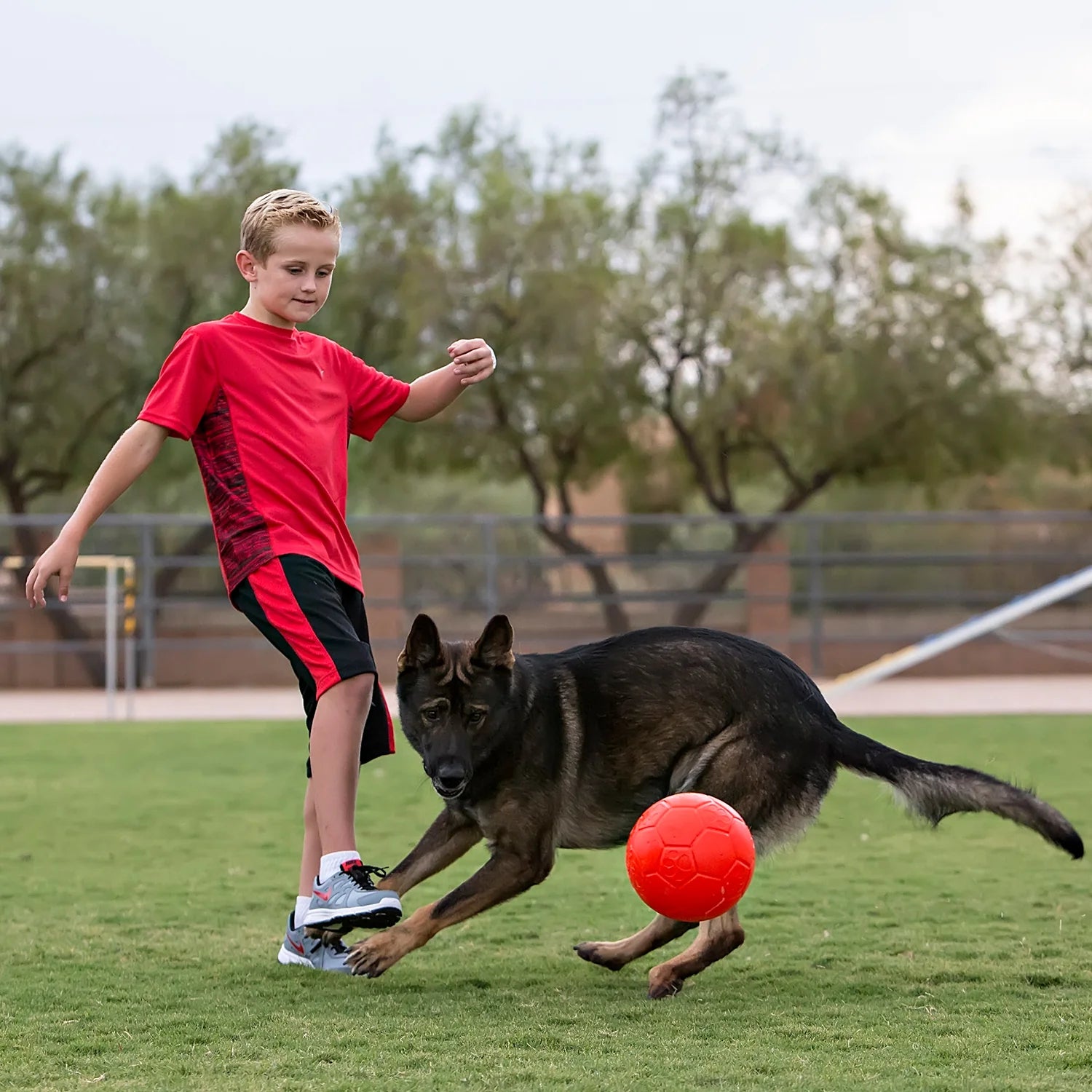 Jolly Pets - Jolly Soccer Ball - Mini Assorted