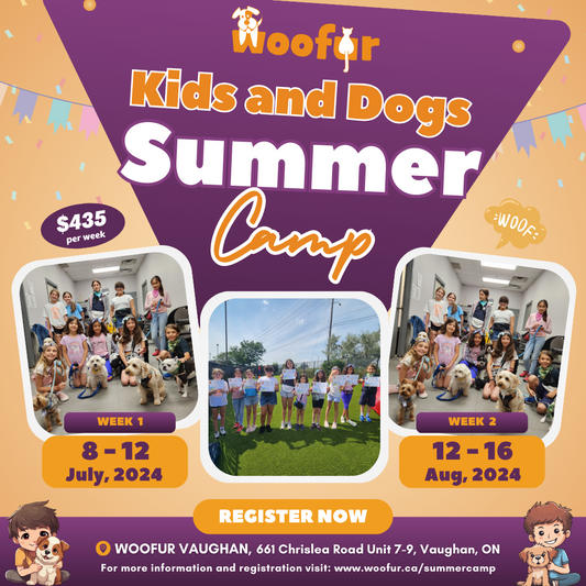 Kids & Dogs Summer Camp