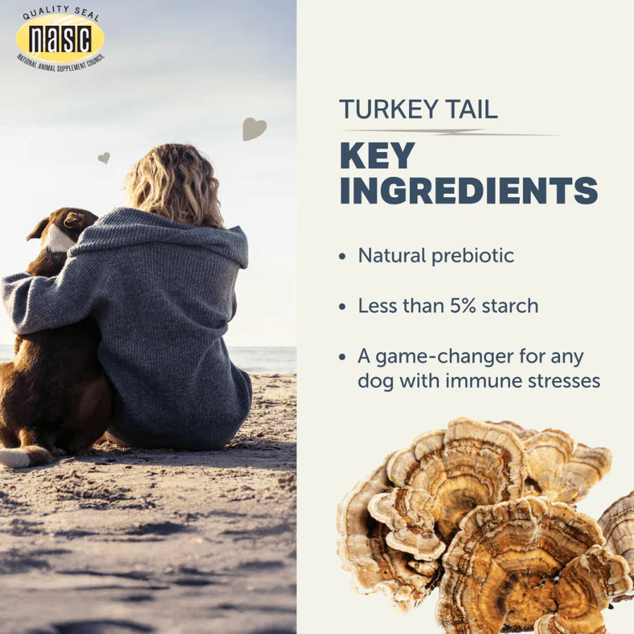 Four Leaf Rover -  Turkey Tail Mushrooms 50g - Woofur Natural Pet Products