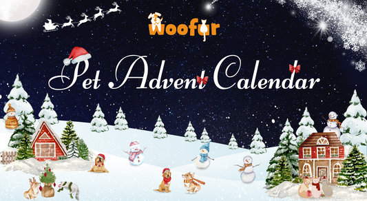Woofur Pet Advent Calendar