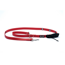 Load image into Gallery viewer, Smoochy Poochy - 1&quot; x 6&#39; Hands Free Polyvinyl Leash