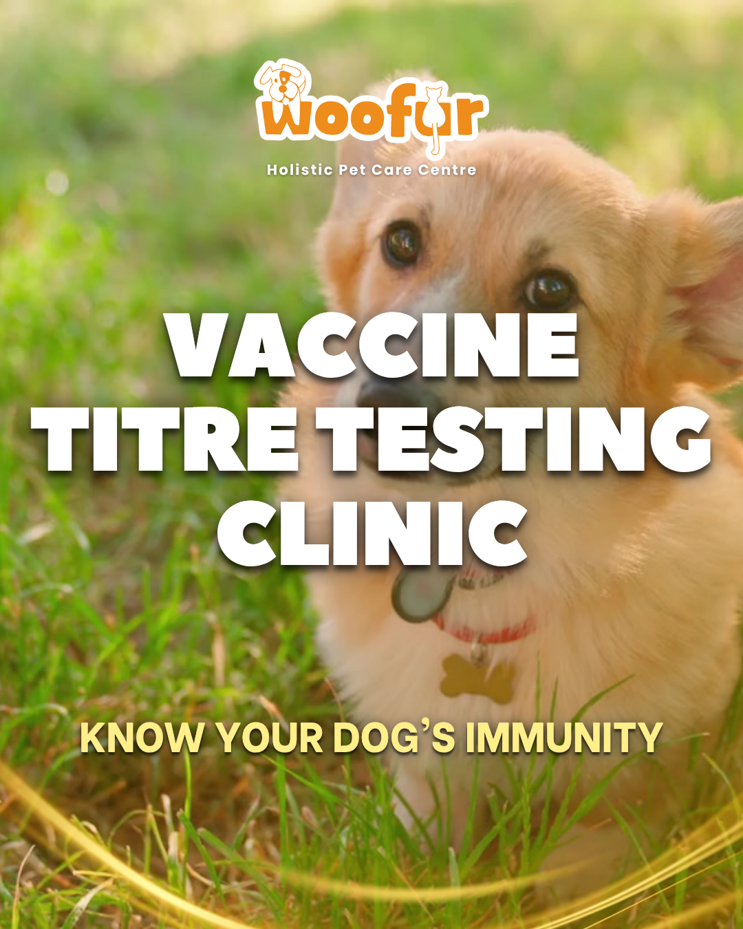 Vaccine Titre Testing Clinic