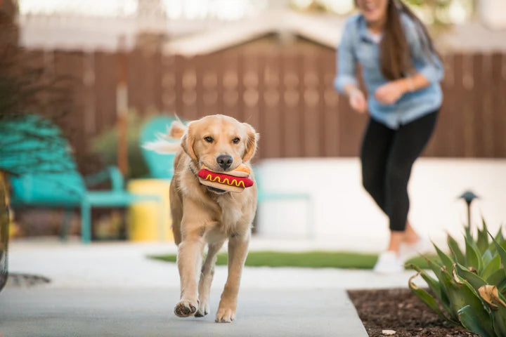 P.L.A.Y. - American Take Out - Hotdog