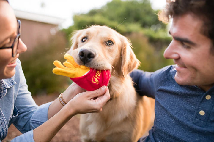 P.L.A.Y. -  American Take Out - French Fries