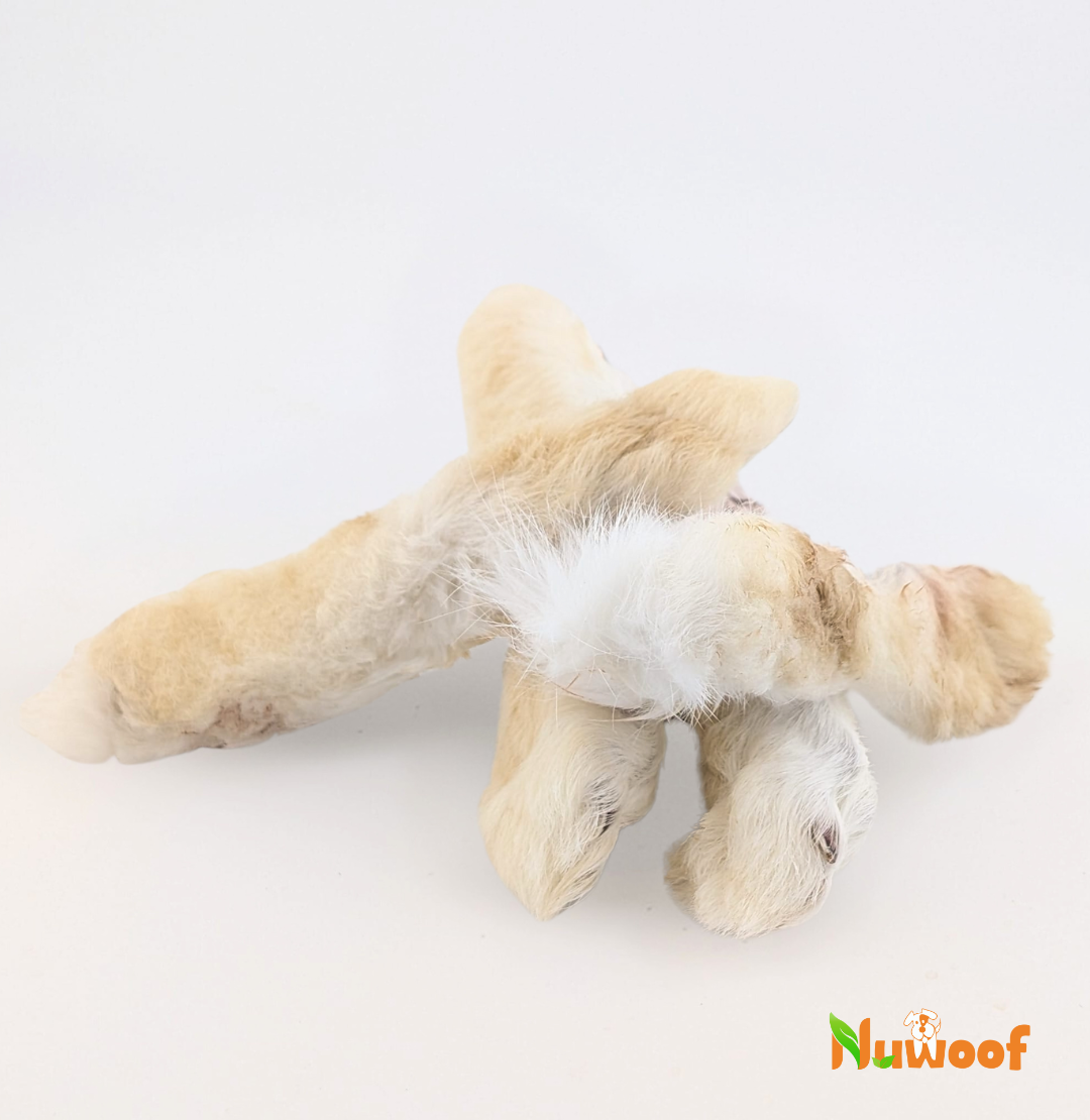 NuWoof - Rabbit Feet