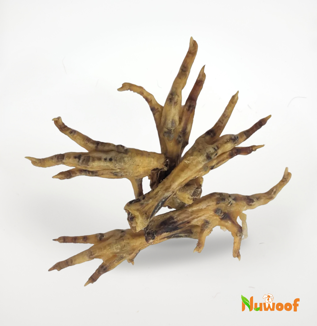 NuWoof - Cornish Hen Feet