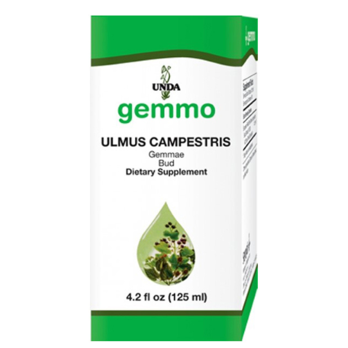 UNDA Gemmo - Ulmus Campestris (125ml)