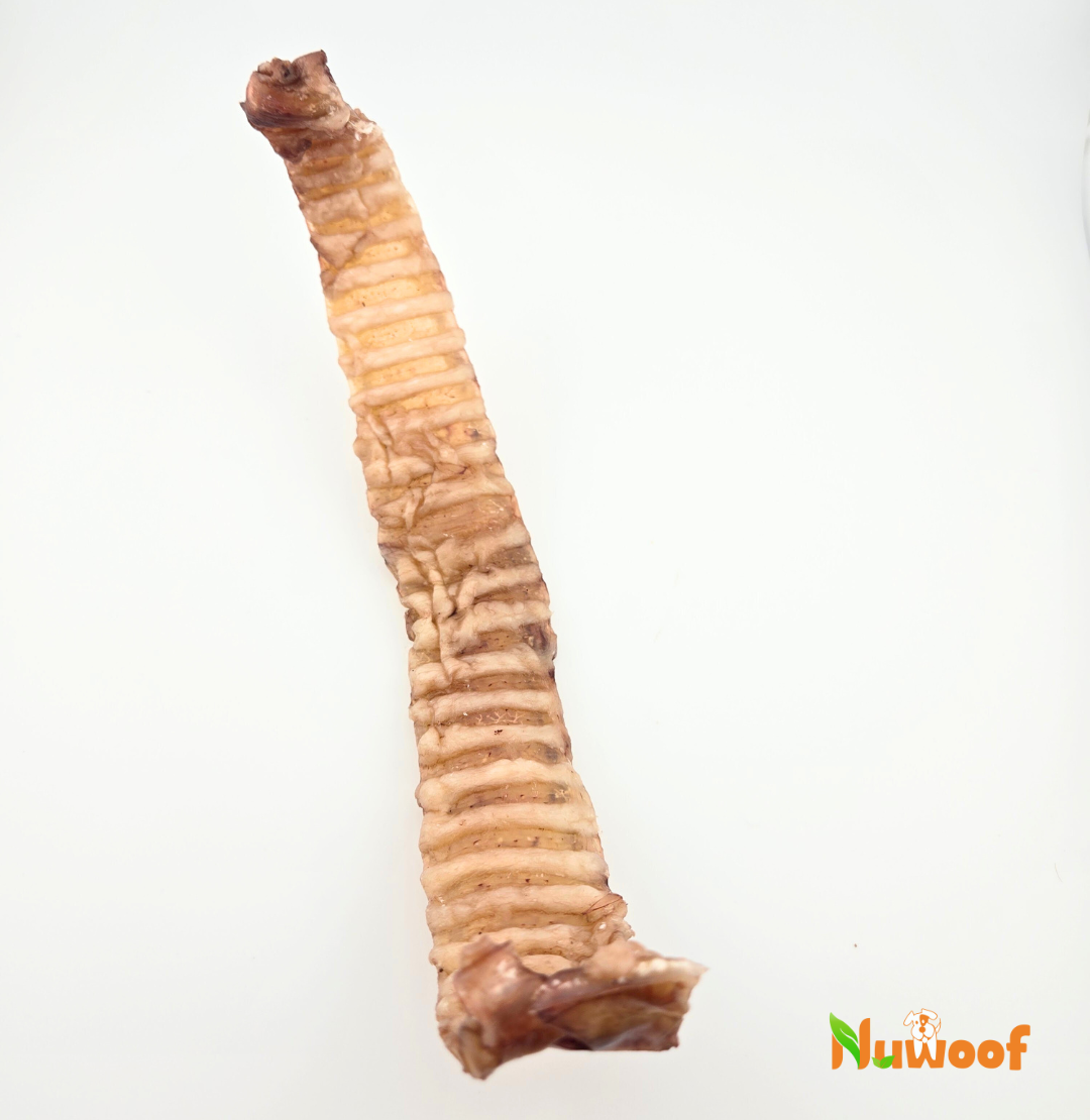 NuWoof - Tracheal Stick