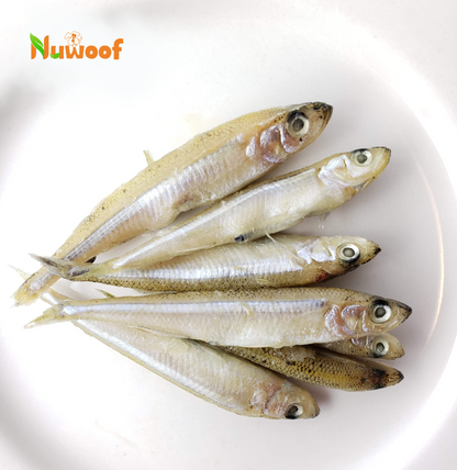 NuWoof - Frozen Lake Smelts