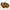 NuWoof - Dehydrated Mussels 30g