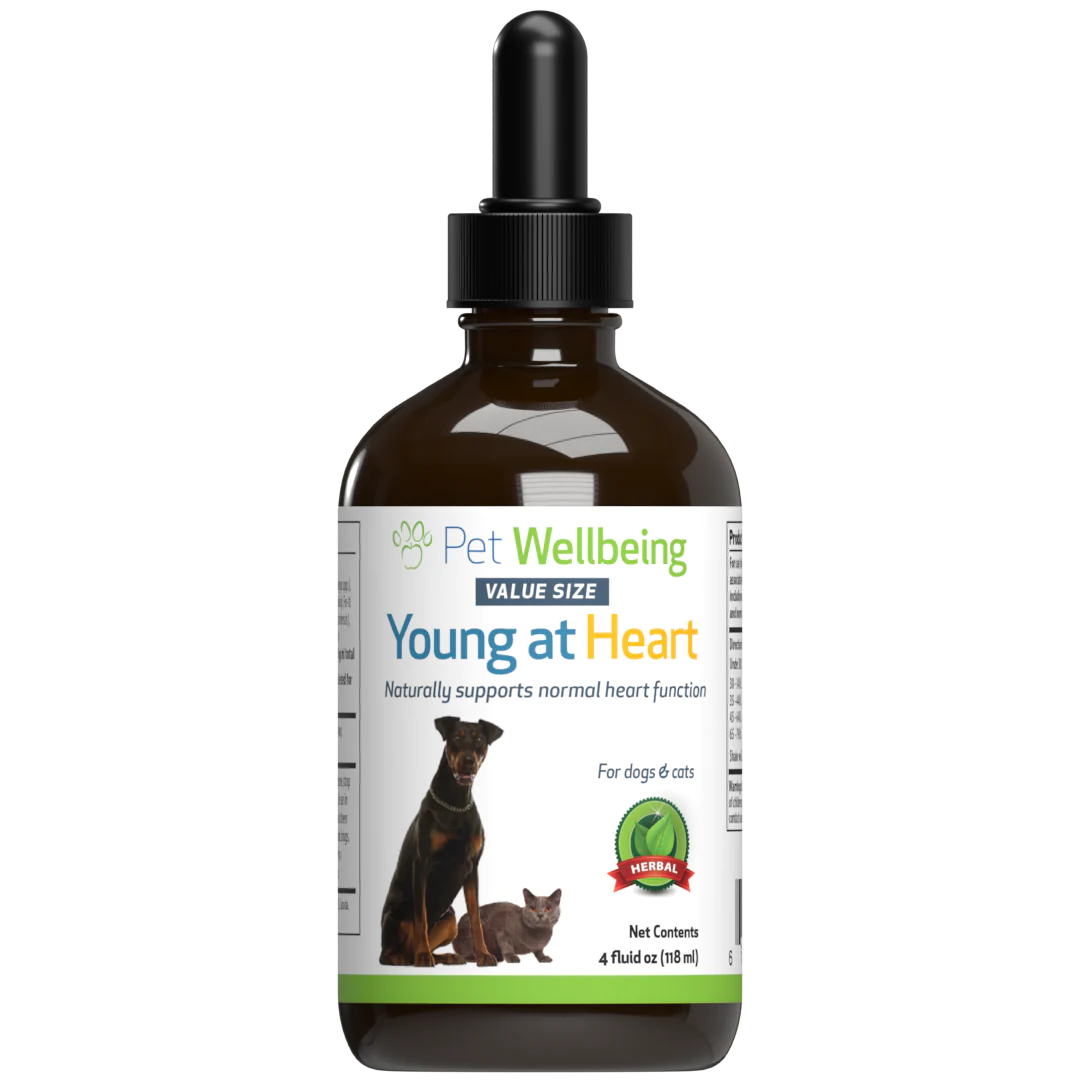 Pet Wellbeing - Young at Heart - for Healthy Heart Maintenance in Dogs