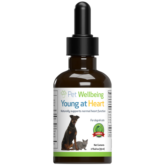 Pet Wellbeing - Young at Heart - for Healthy Heart Maintenance in Dogs