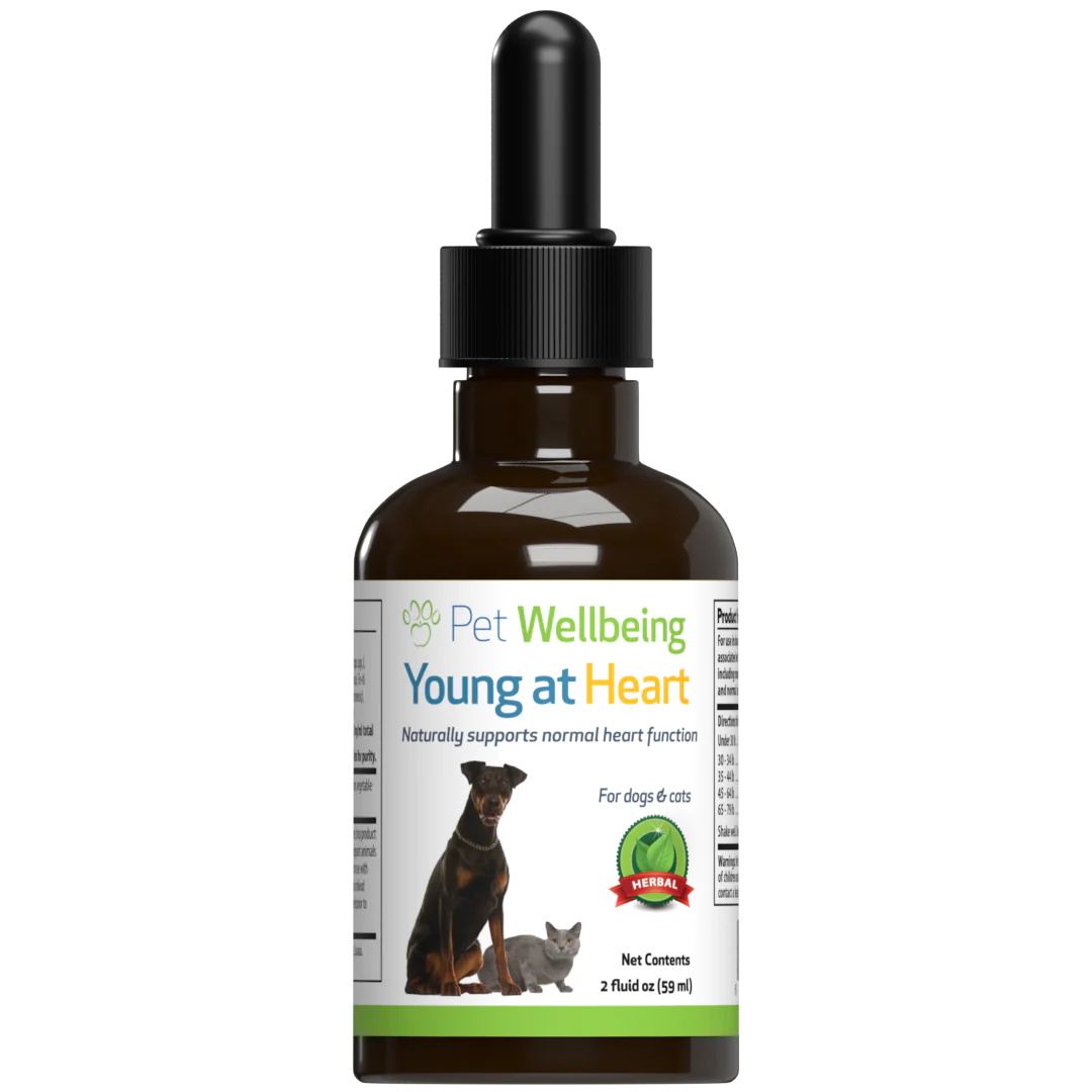 Pet Wellbeing - Young at Heart - for Healthy Heart Maintenance in Dogs