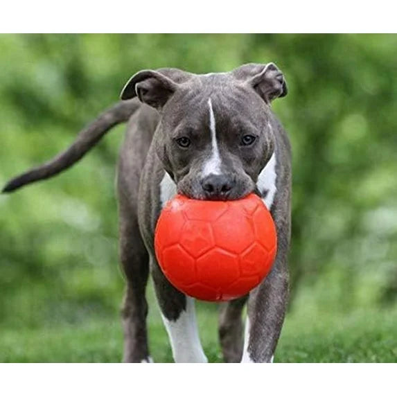 Jolly Pets - Jolly Soccer Ball - Orange